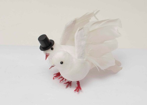 Hochzeitstauben paar sehr - hochzeitstauben-paar,