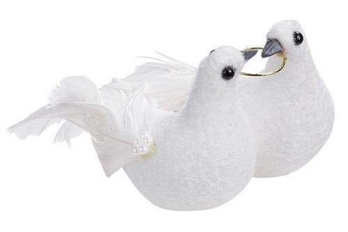 Tauben hochzeitstaubenpaar mit - tauben,