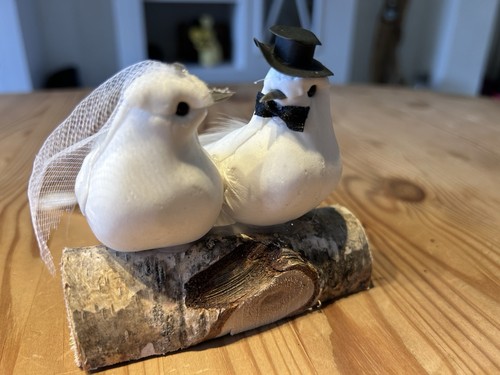 Tauben auf holzblöcken - 15,